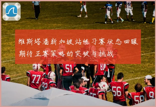 维斯塔潘新加坡站练习赛状态回暖期待正赛策略的突破与挑战