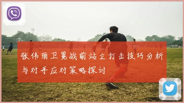 张伟丽卫冕战前站立打击技巧分析与对手应对策略探讨